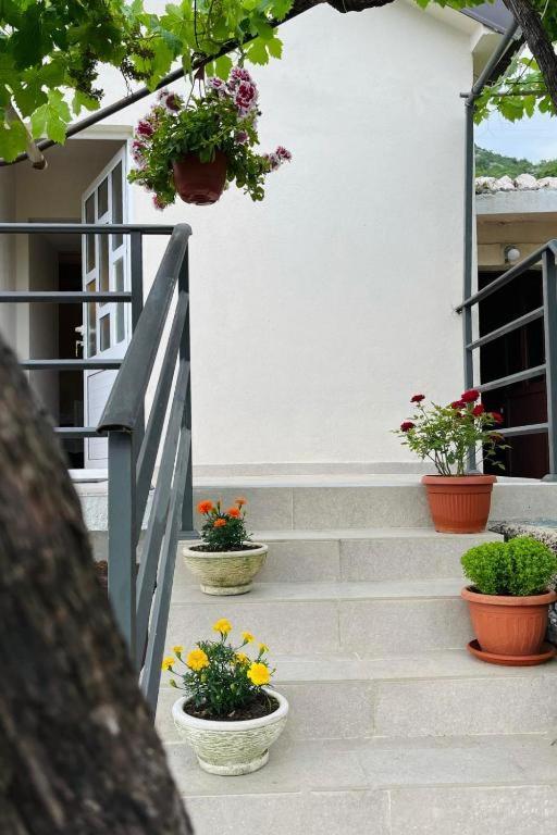 Apartments Stella เวียร์ปาซาร์ ภายนอก รูปภาพ