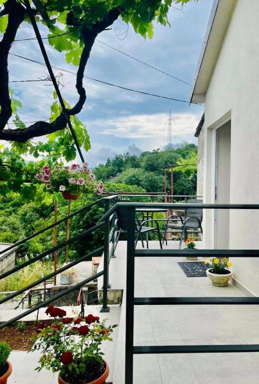 Apartments Stella เวียร์ปาซาร์ ภายนอก รูปภาพ